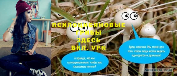 2c-b Белоозёрский