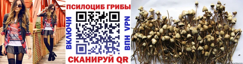 MEGA ONION Бутурлиновка Псилоцибиновые грибы Psilocybe