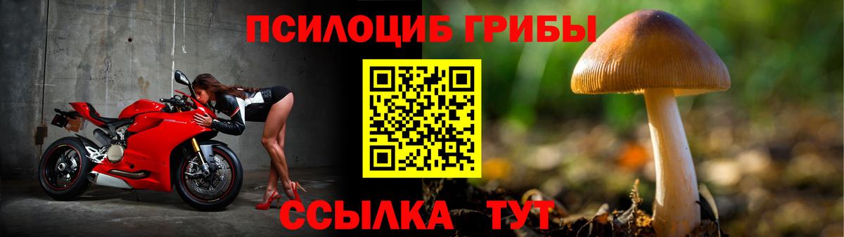 Псилоцибиновые грибы прущие грибы Бутурлиновка